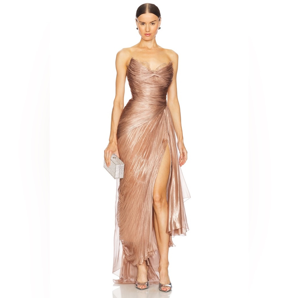 NWT Maria Lucia Hohan Jolie Gown